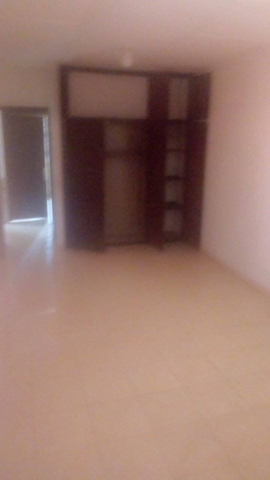 94644037_558460565083052_1500838173687676928_o