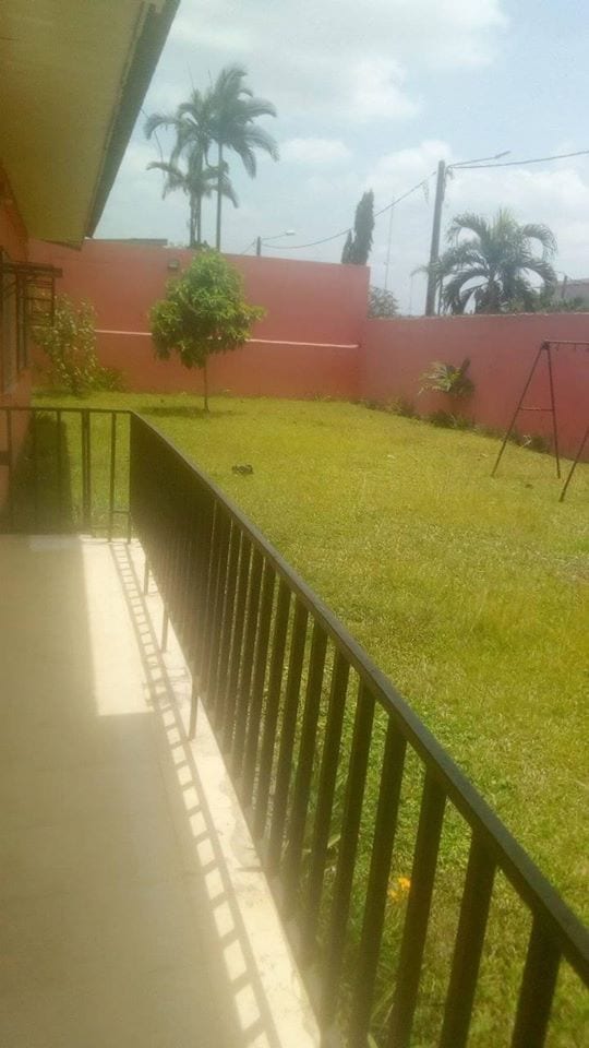 94701680_558460425083066_6561688161079001088_o