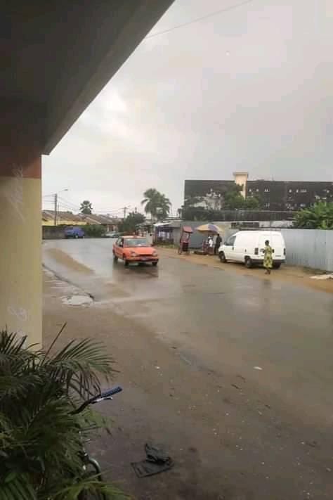 73020985_415271336068643_1501911035043381248_n