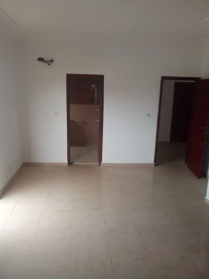 86462771_509382719990837_3789397452818219008_n