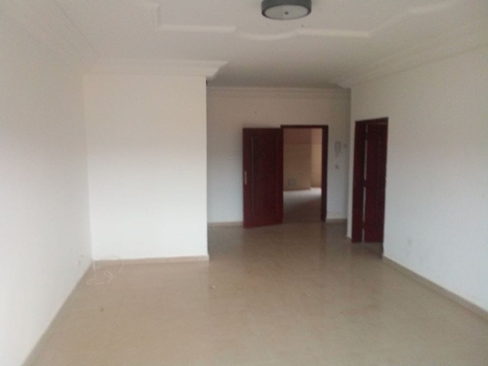 86501983_509382413324201_1553108758903652352_n