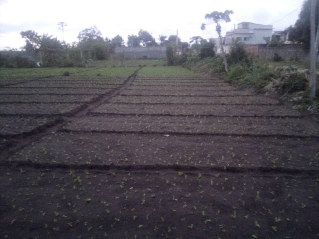 IMG-20200503-WA0008-4