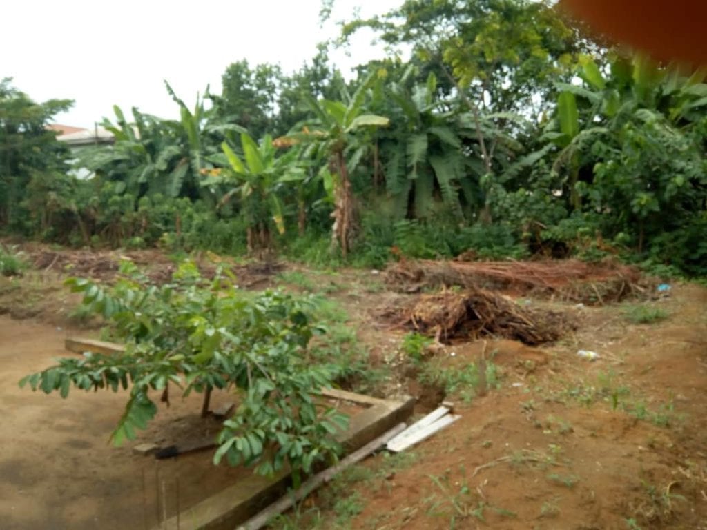 IMG-20200520-WA0011-1