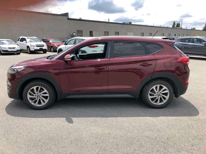 FB_IMG_15952599687166372