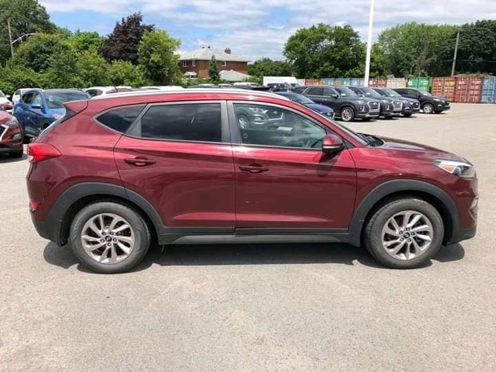 FB_IMG_15952599780654445