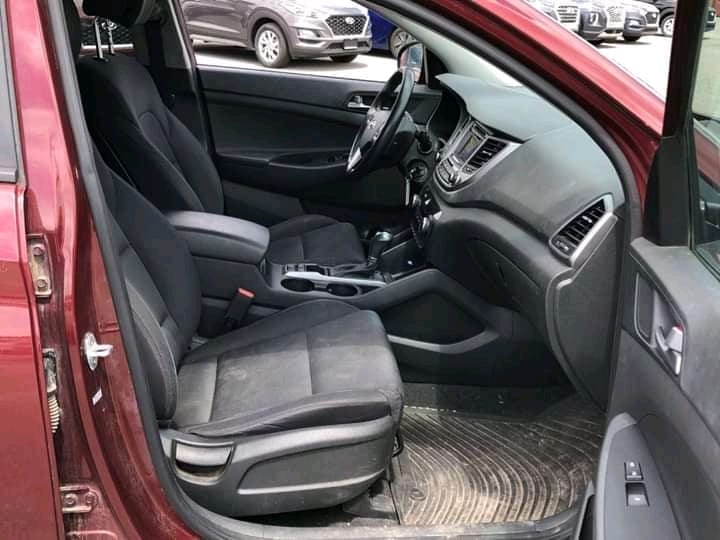 FB_IMG_15952600002337419