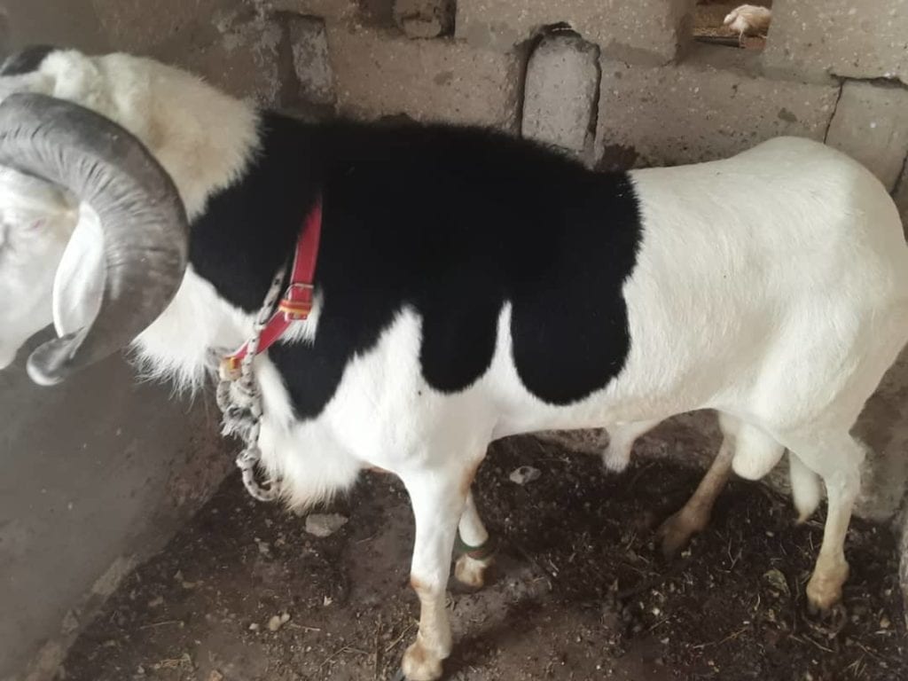 0E727C9F-A9F4-4DE8-AFA5-ED3D7CBC7501