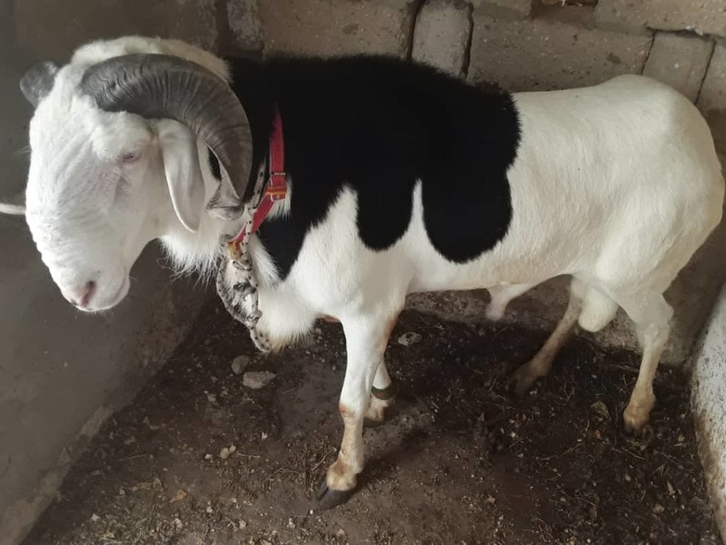 8E3DF627-4220-402B-83CB-DFFA3BF81D31