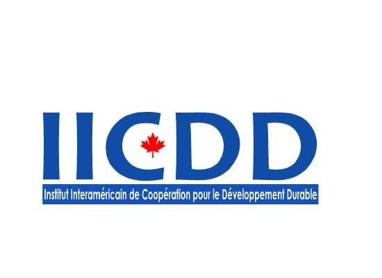 LGO-IICDD-1