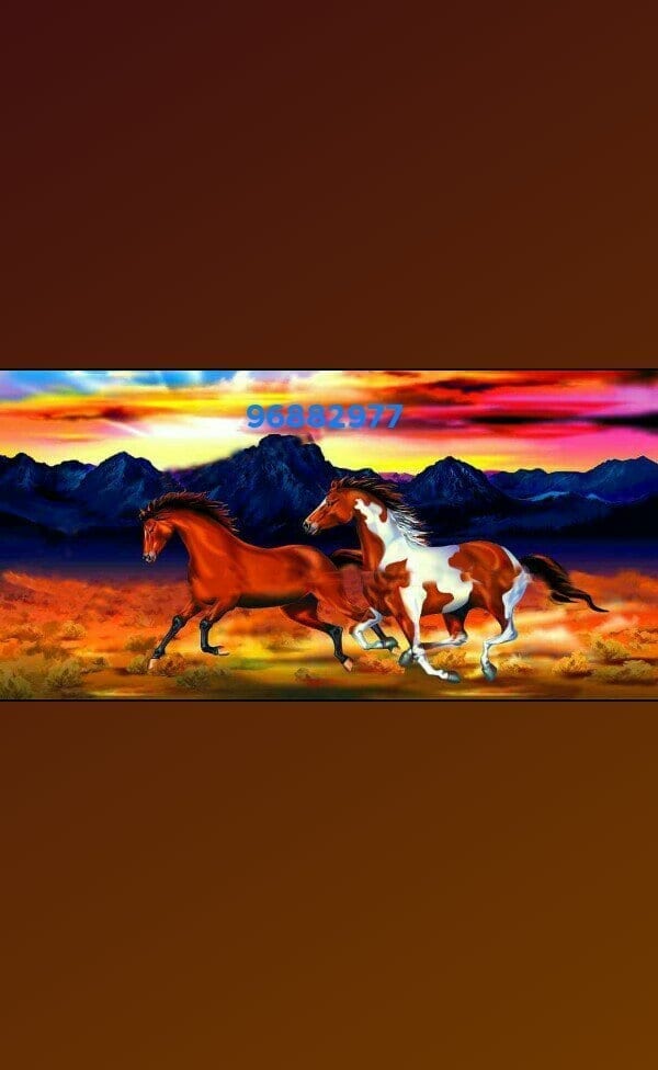 USER_SCOPED_TEMP_DATA_orca-image-1383872898-1