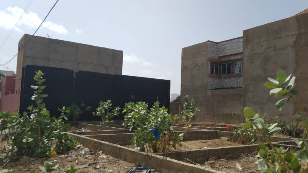3_terrain-300-metre-carre-Mbour-Medine-4