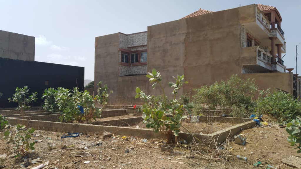 4_terrain-300-metre-carre-Mbour-Medine-5