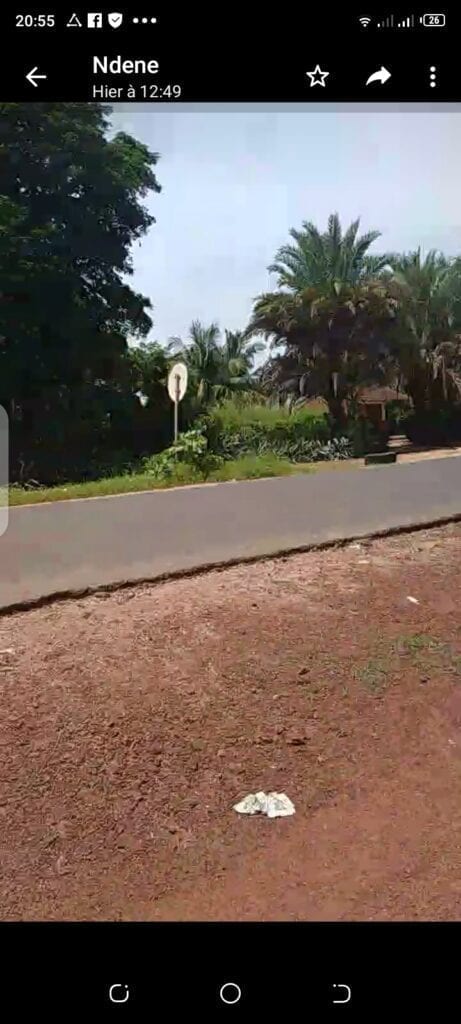 Terrain-1200-Metre-Carre-Warang-Mbour-5