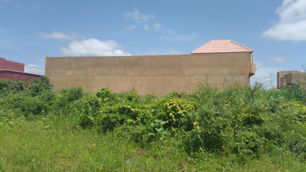 Terrain-300-Metre-Carre-Saly-Diacksao-3