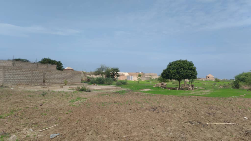 Terrain-300-Metre-Carre-Saly-Golf-4