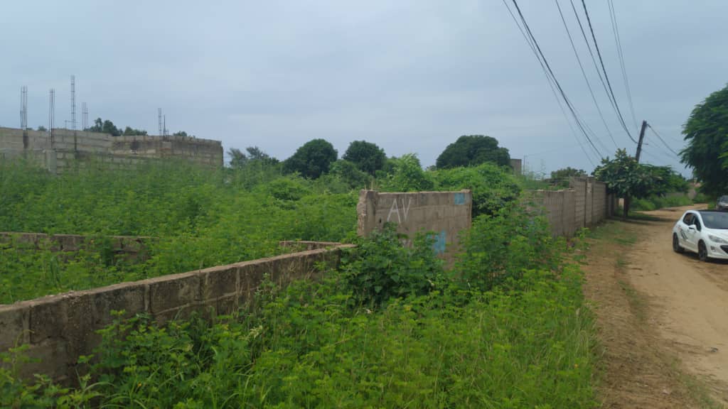 Terrain-350-Metre-Carre-Somone-5