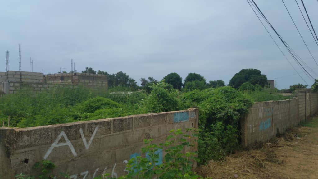 Terrain-350-Metre-Carre-Somone-6