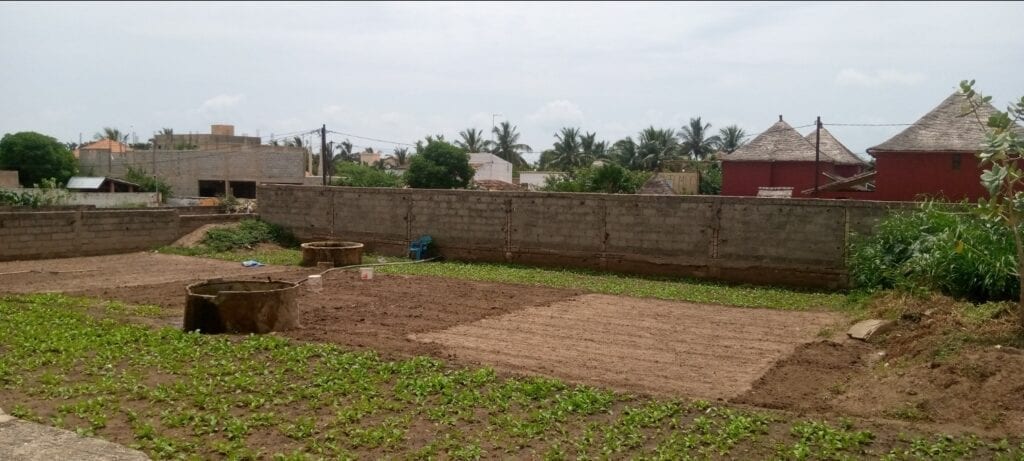 Terrain-493-Metre-Carre-Saly-Niakhniakhal-2