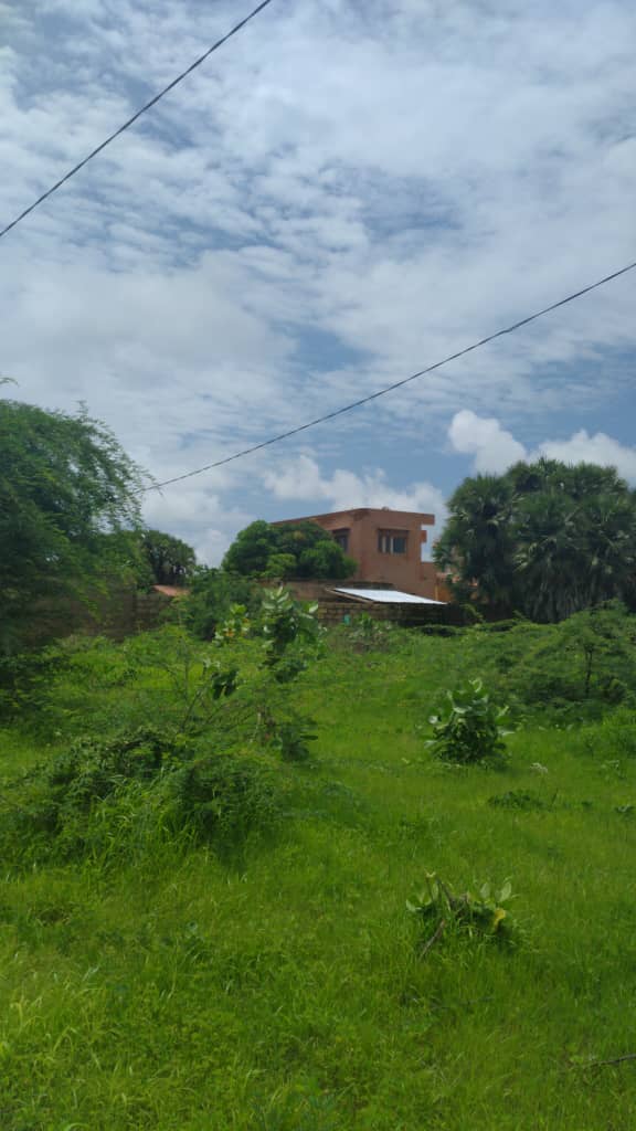 Terrain-600-metre-carre-Somone-1