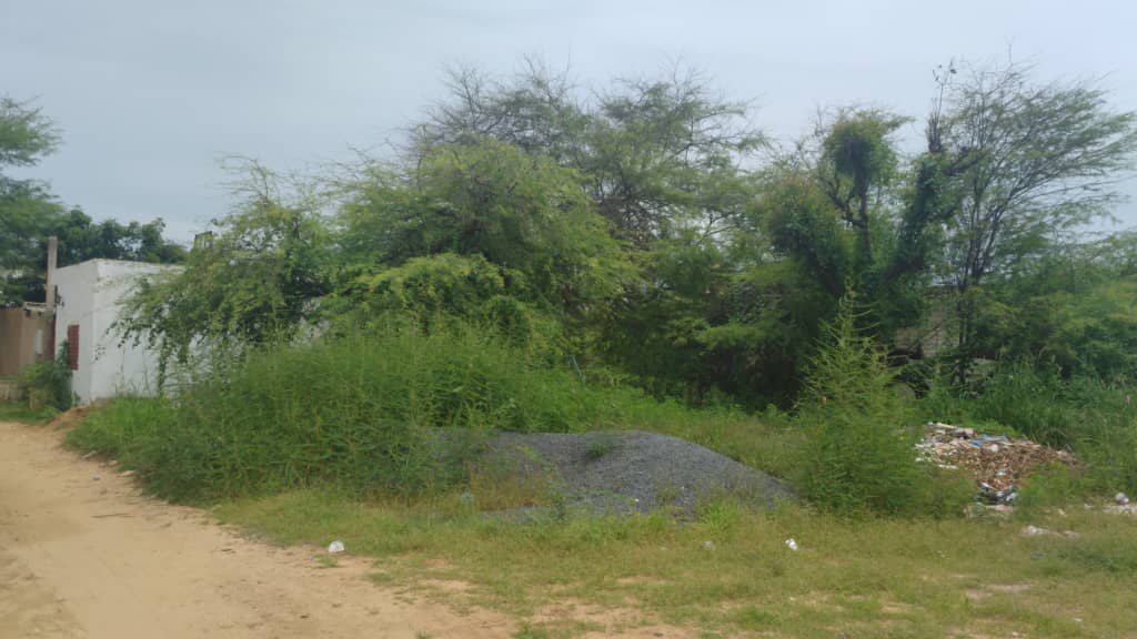 Terrain-900-Metre-Carre-Ngaparou-1