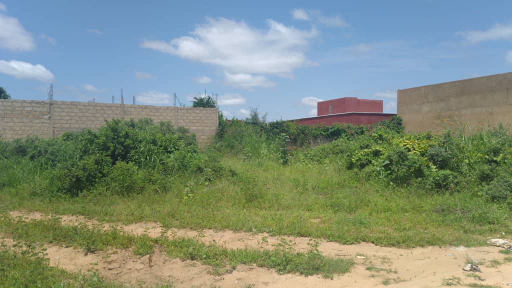 terrain-300-Metre-Carre-Saly-Diacksao-1