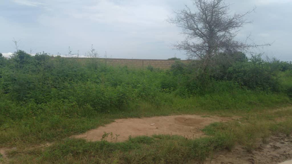 terrain-400-metre-carre-titre-foncier-saly-1