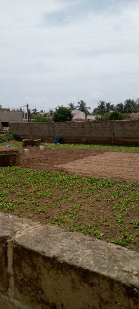 terrain-493-Metre-Carre-Saly-Niakhniakhal-1-1