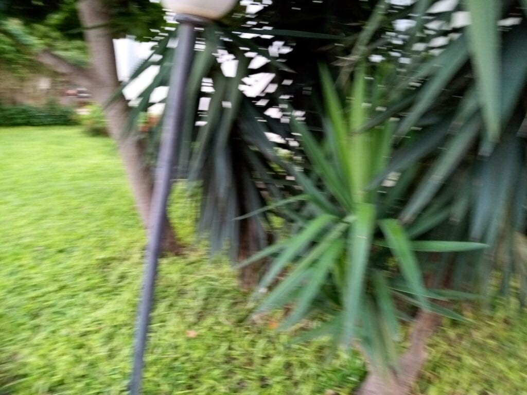 IMG_20200918_182229_122