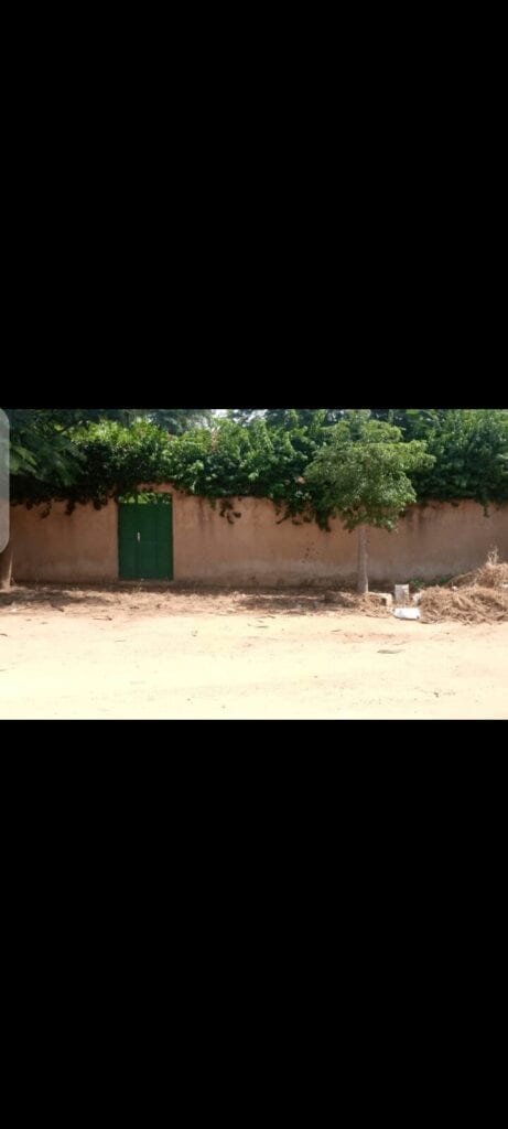 Terrain-350-Metre-Carre-Titre-Foncier-Saly-4