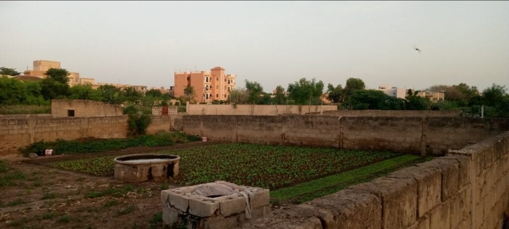 Terrain-380-Metre-Carre-Saly-Niakhniakhal-3