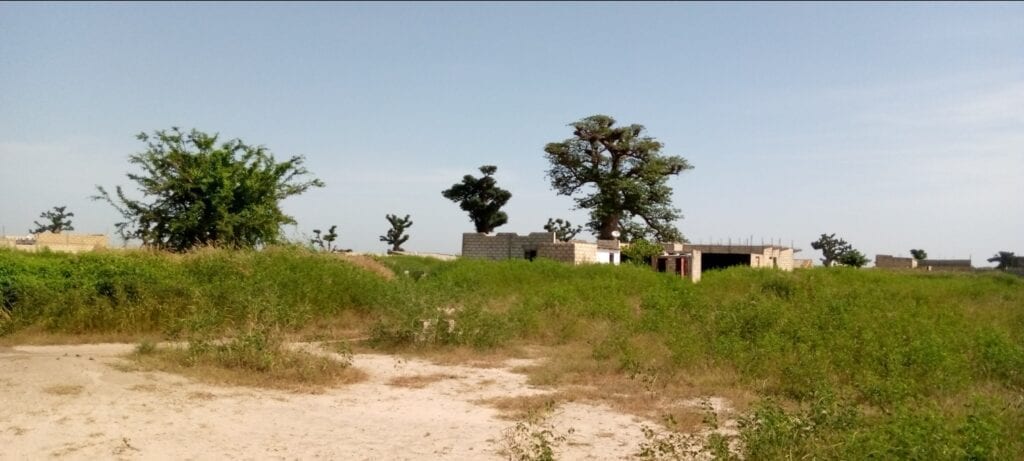 Terrain-450-Metre-Carre-Saly-1