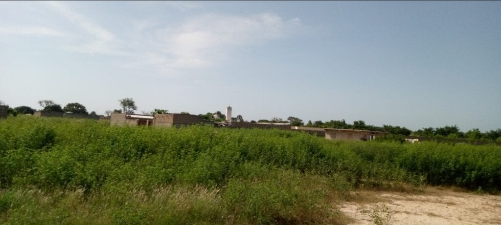 Terrain-450-Metre-Carre-Saly-4