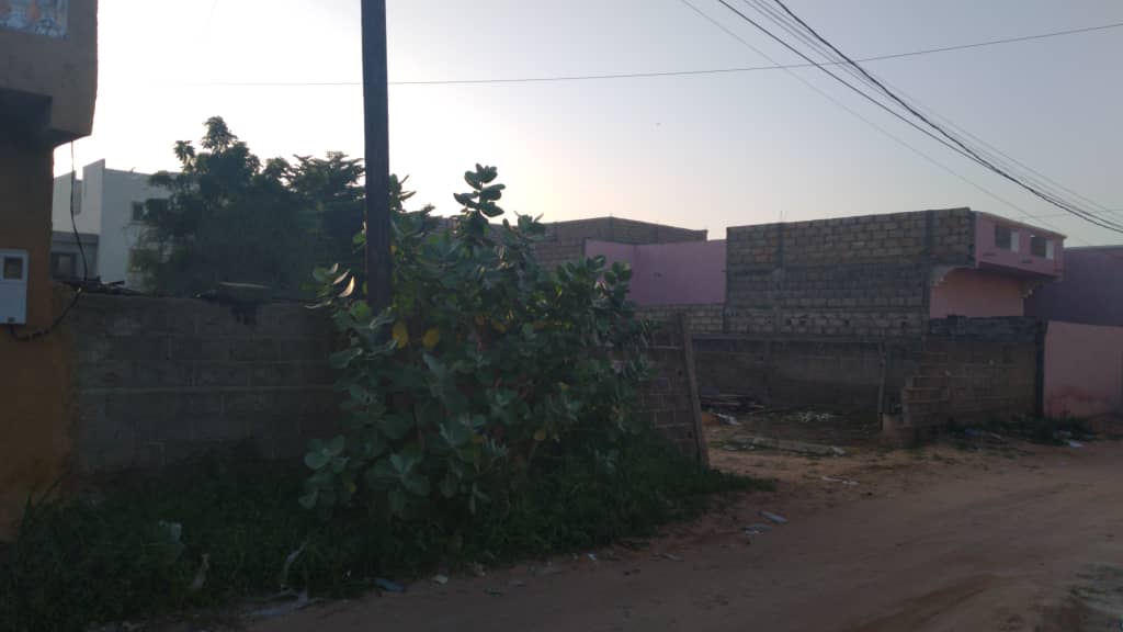 Terrain-500-Metre-Carre-Saly-Carrefour-2