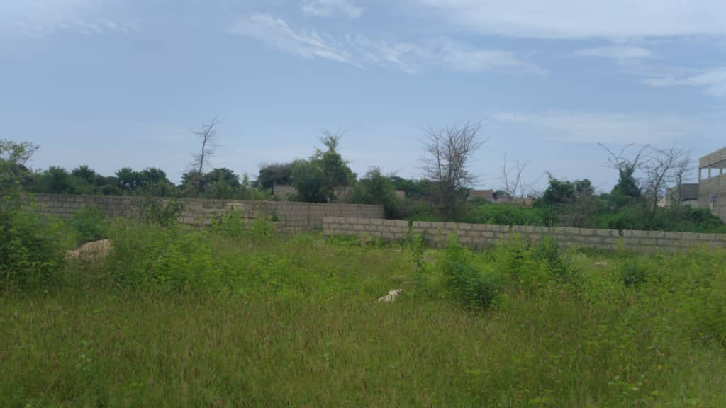 Terrain-600-Metre-Carre-Warang-Mbour-2