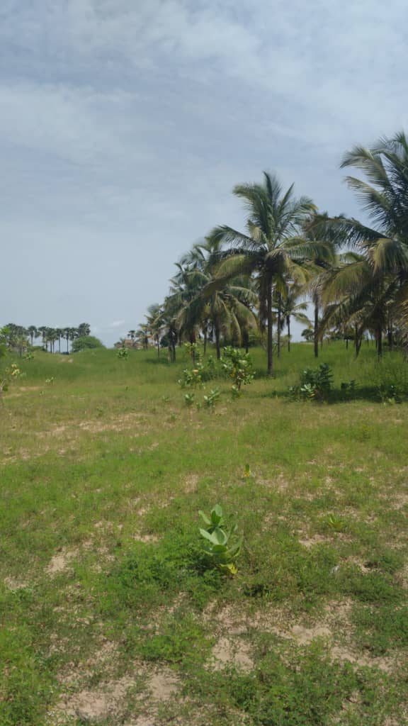 Terrains-300-Metre-Carre-Bord-De-Mer-Pointe-Sarene-5-1