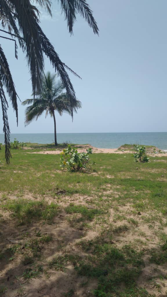 terrains-300-Metre-Carre-Bord-De-Mer-Pointe-Sarene-6