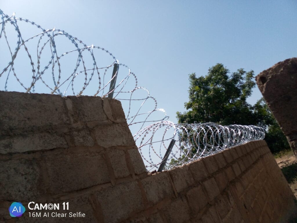 IMG_20201030_115536_9