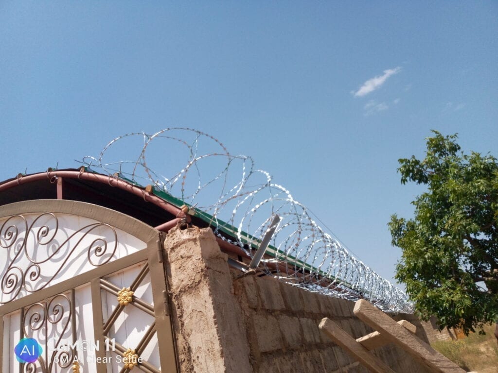 IMG_20201030_121540_3