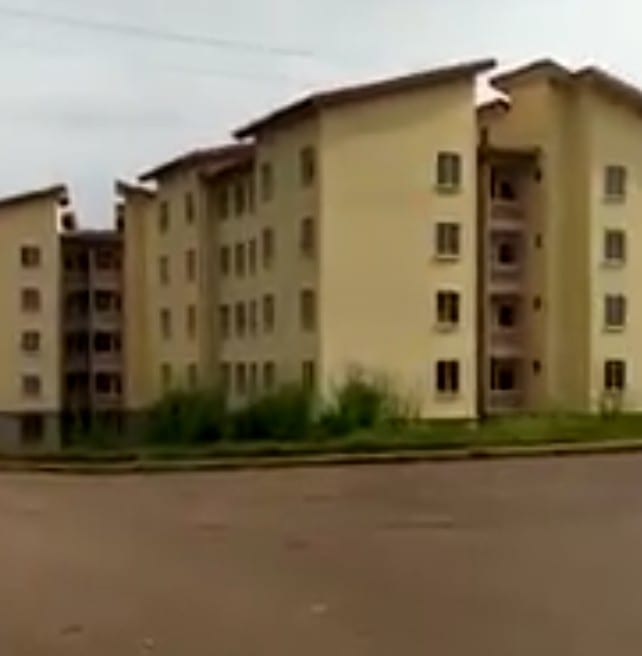 IMG_20201122_224719_470