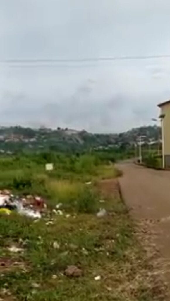 IMG_20201122_224831_096