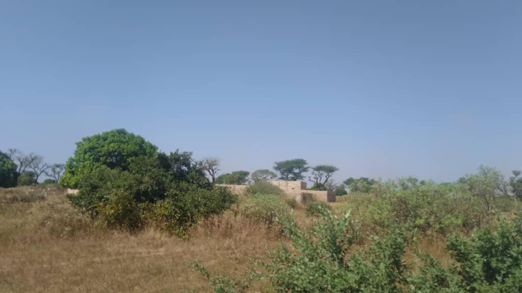 Terrain-300-Metre-Carre-Saly-1-A