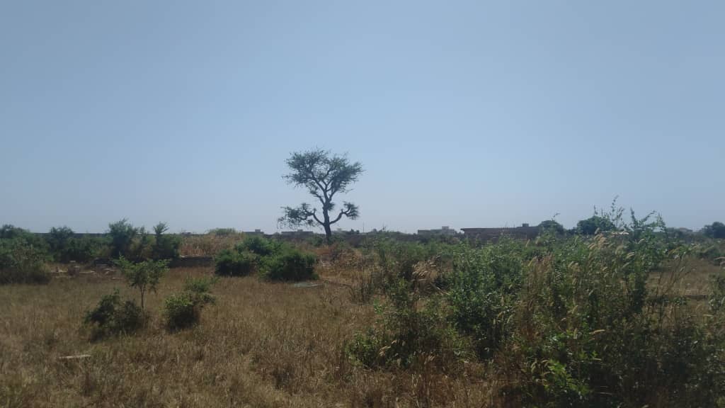 Terrain-300-Metre-Carre-Saly-2-A