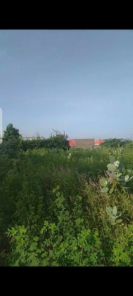 Terrain-600-Metre-Carre-Somone-2