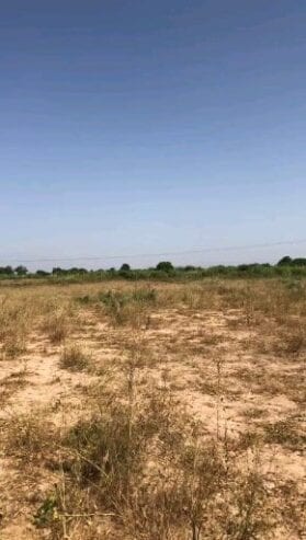 Terrain-Agricole-1800-Hectares-Mbour-2