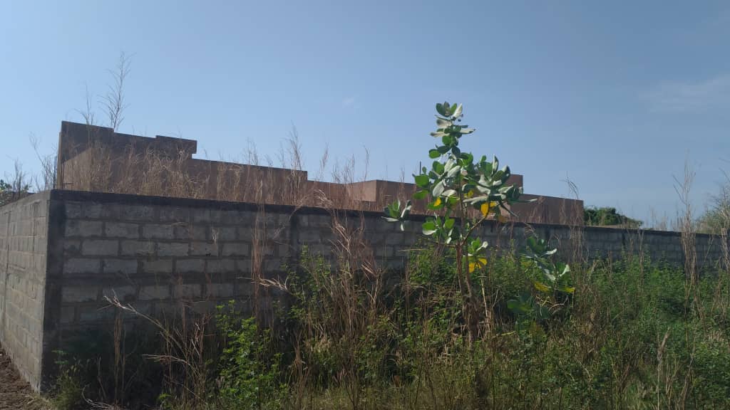 Terrain-De-600-Metre-Carre-Somone-1