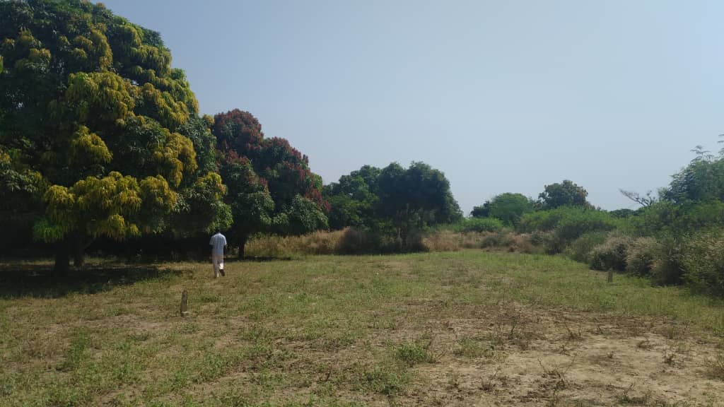 terrain-225-metre-Carre-Saly-1