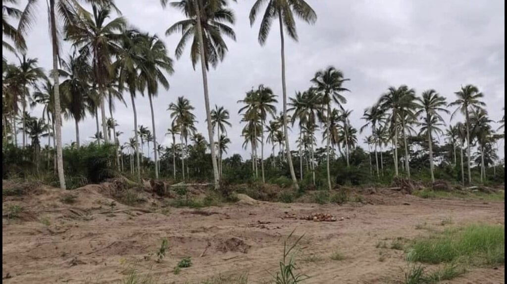 5A8638A5-35DA-424A-B295-1CF084207283