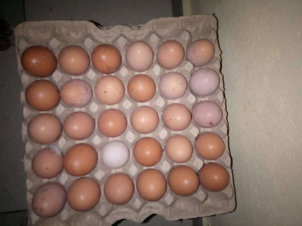 62363c12-4966-45a1-81c7-bcd53e62ae90