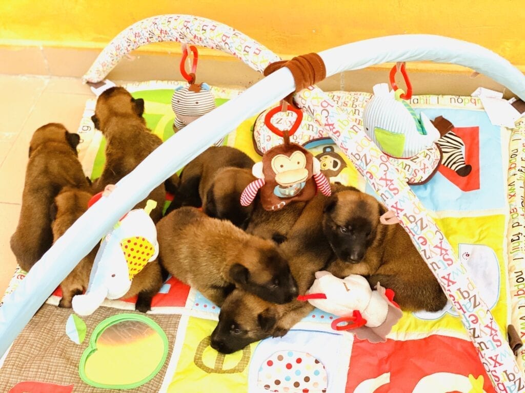 8CA5F460-083C-4B88-B500-A37213C6A705