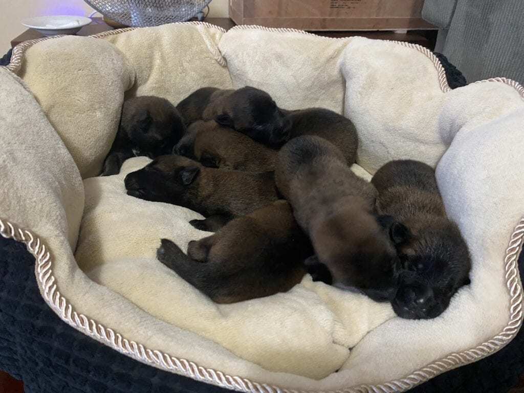 D851032A-D8D7-4FCE-A678-3300B9C92783